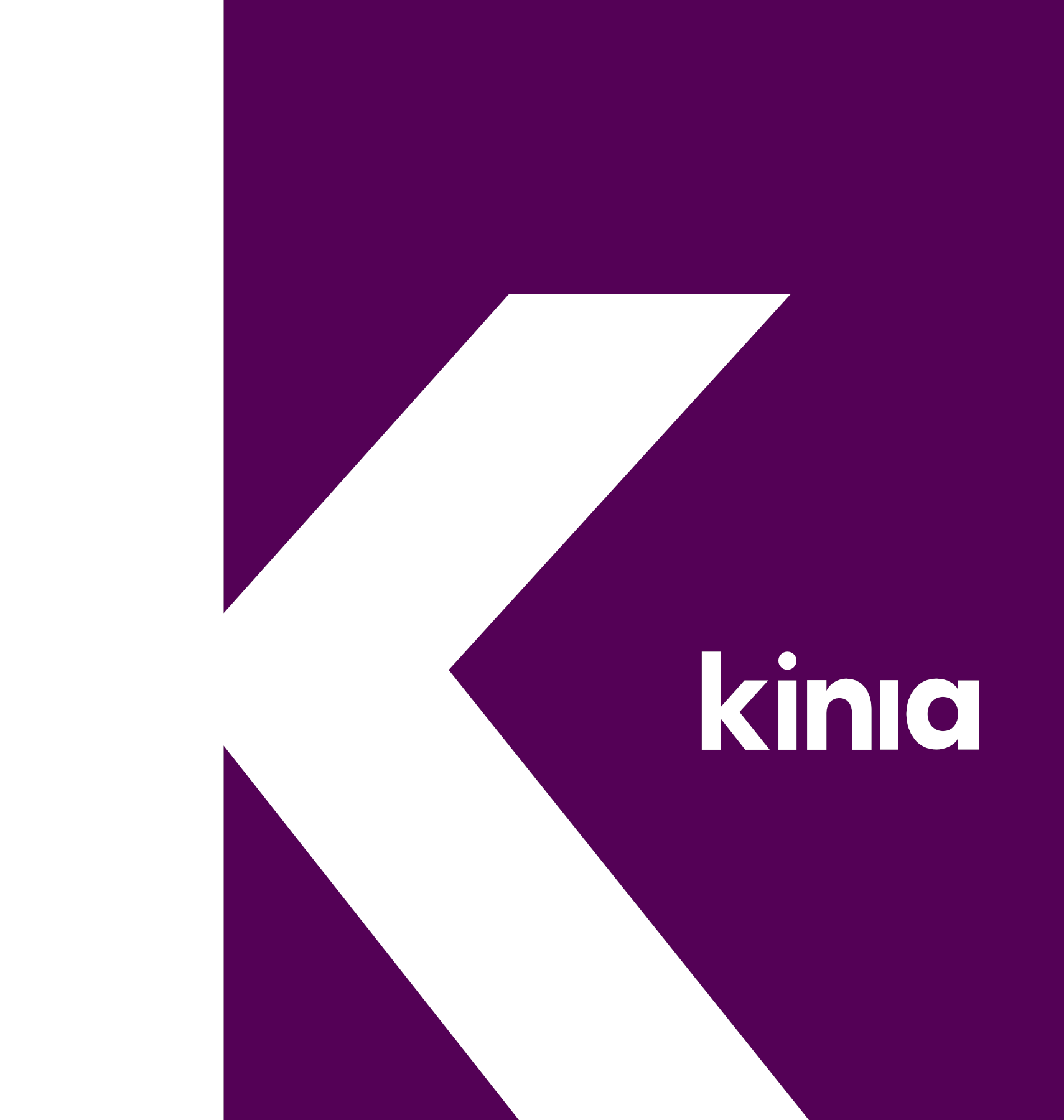 Equipe KINIA em reunião de análise